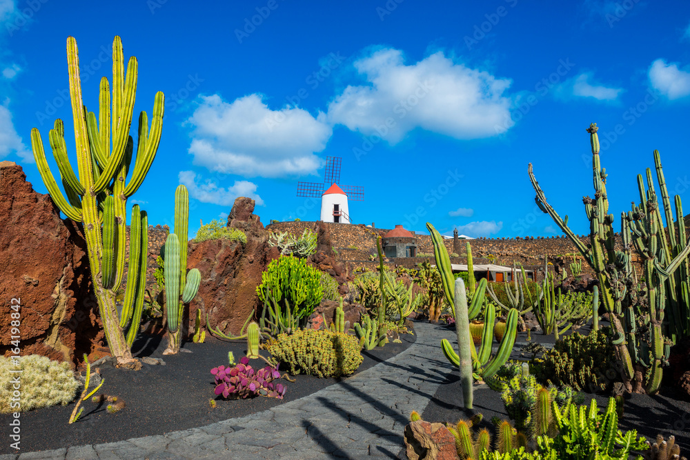 Jardín de Cactus